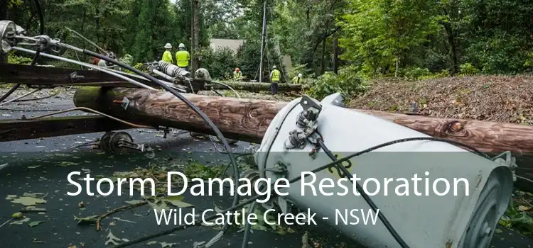 Storm Damage Restoration Wild Cattle Creek - NSW
