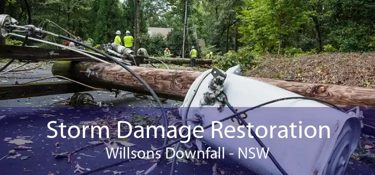 Storm Damage Restoration Willsons Downfall - NSW