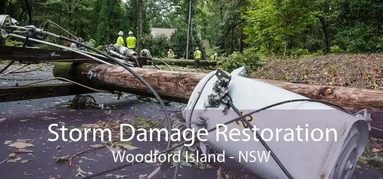 Storm Damage Restoration Woodford Island - NSW