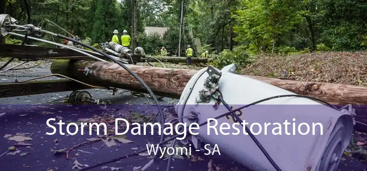 Storm Damage Restoration Wyomi - SA