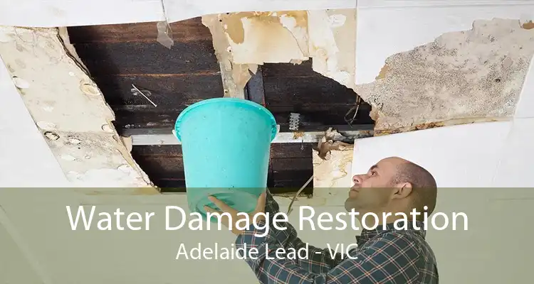 Water Damage Restoration Adelaide Lead - VIC