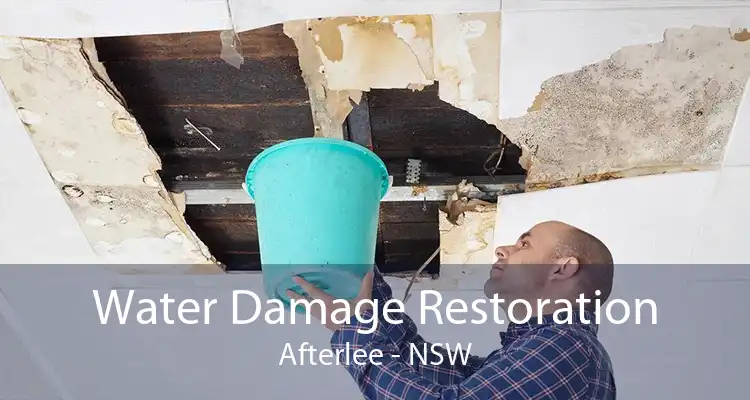 Water Damage Restoration Afterlee - NSW