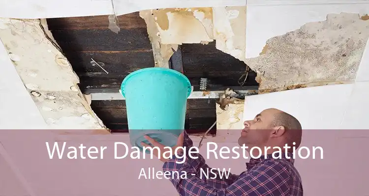 Water Damage Restoration Alleena - NSW