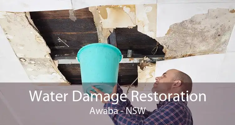 Water Damage Restoration Awaba - NSW