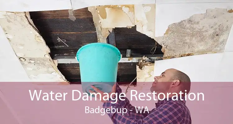 Water Damage Restoration Badgebup - WA