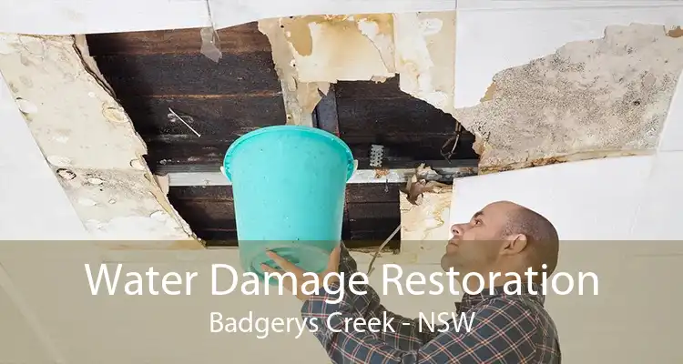 Water Damage Restoration Badgerys Creek - NSW