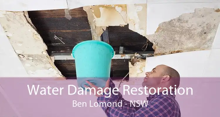 Water Damage Restoration Ben Lomond - NSW