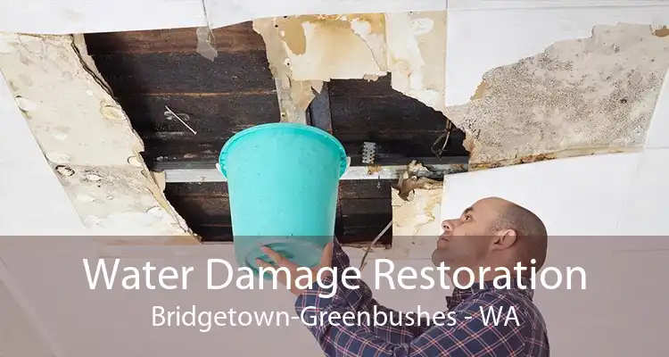 Water Damage Restoration Bridgetown-Greenbushes - WA