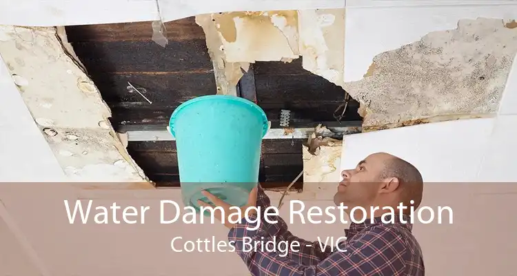 Water Damage Restoration Cottles Bridge - VIC