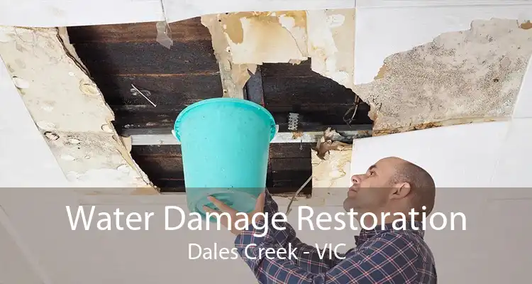 Water Damage Restoration Dales Creek - VIC