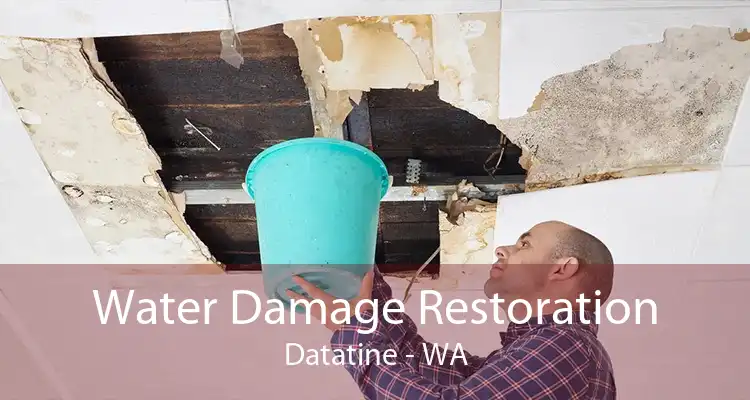 Water Damage Restoration Datatine - WA