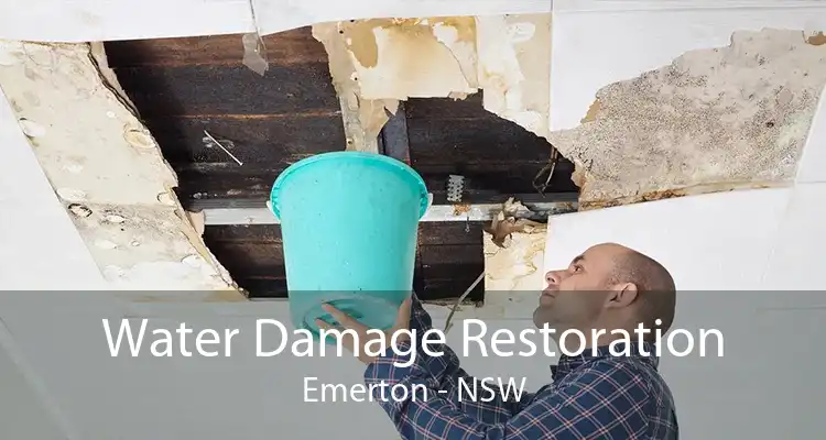 Water Damage Restoration Emerton - NSW