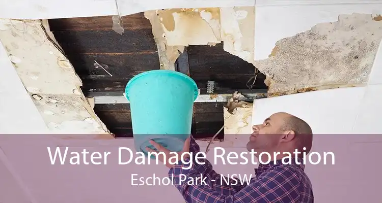 Water Damage Restoration Eschol Park - NSW