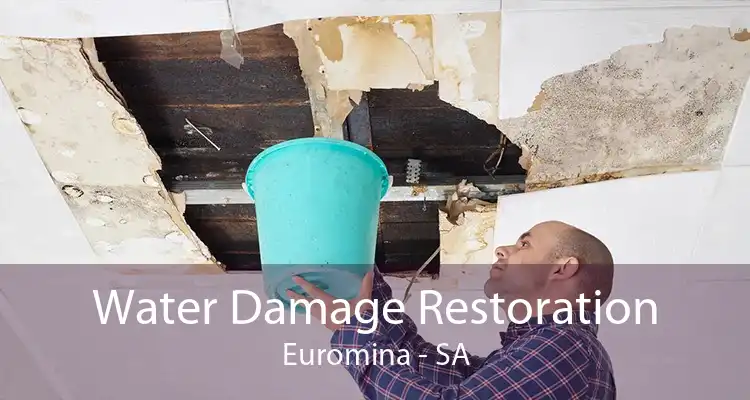 Water Damage Restoration Euromina - SA
