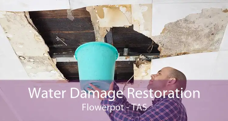 Water Damage Restoration Flowerpot - TAS