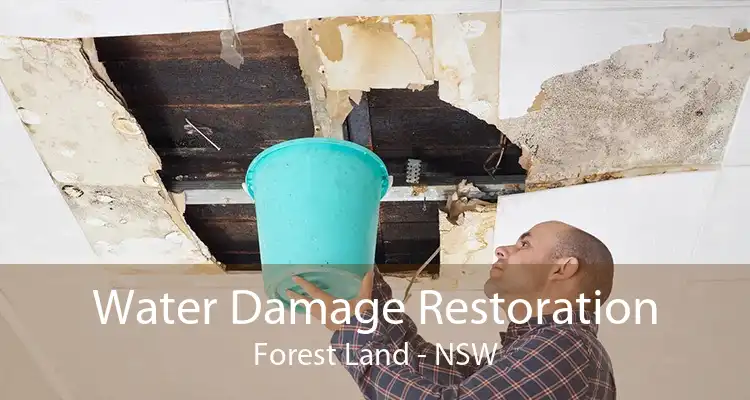 Water Damage Restoration Forest Land - NSW