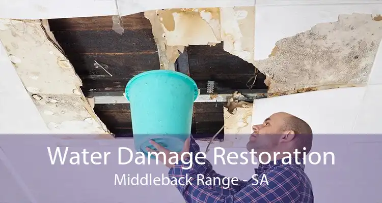 Water Damage Restoration Middleback Range - SA