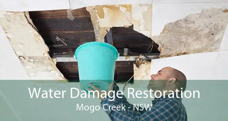 Water Damage Restoration Mogo Creek - NSW