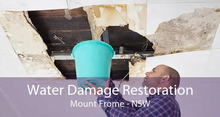 Water Damage Restoration Mount Frome - NSW