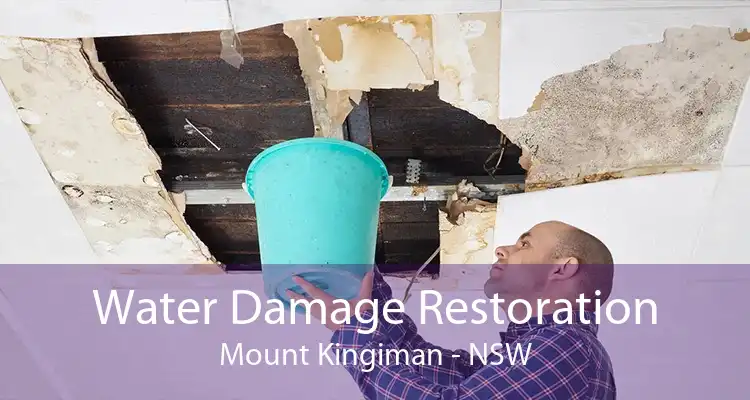 Water Damage Restoration Mount Kingiman - NSW