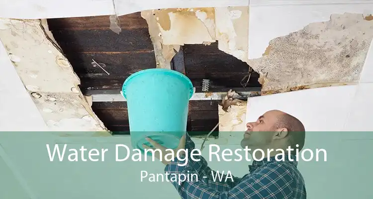 Water Damage Restoration Pantapin - WA