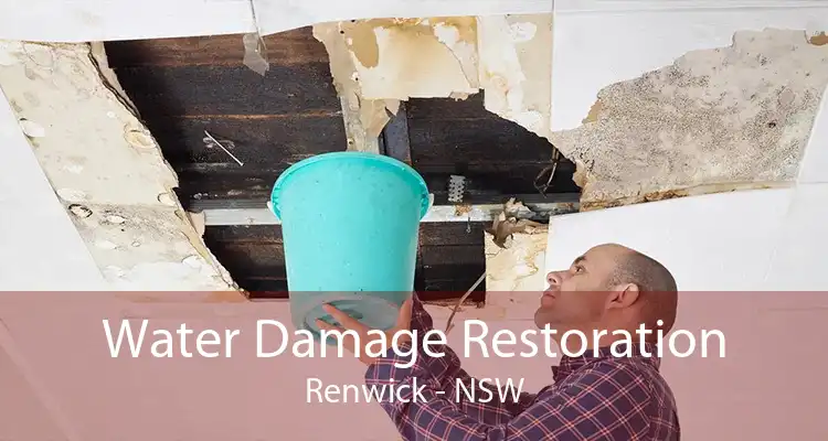 Water Damage Restoration Renwick - NSW