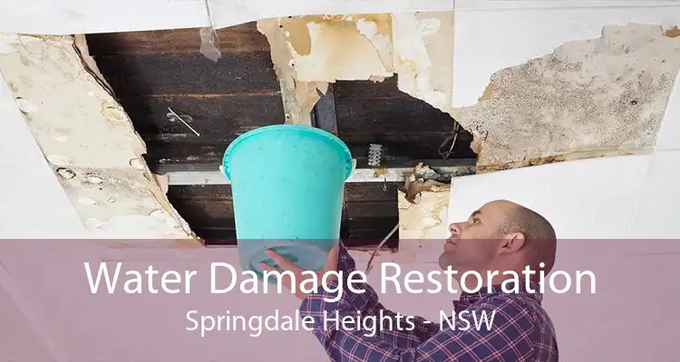 Water Damage Restoration Springdale Heights - NSW