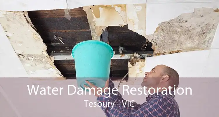Water Damage Restoration Tesbury - VIC