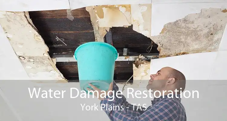 Water Damage Restoration York Plains - TAS