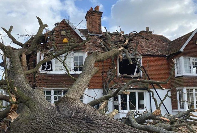 Storm Damage Restoration Lewisham